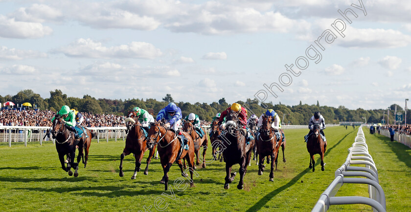 Tropical-Storm-0004 
 TROPICAL STORM (right, Oisin Murphy) beats MAGNUM FORCE (centre) in The Julia Graves Roses Stakes
York 24 Aug 2024 - Pic Steven Cargill / Racingfotos.com