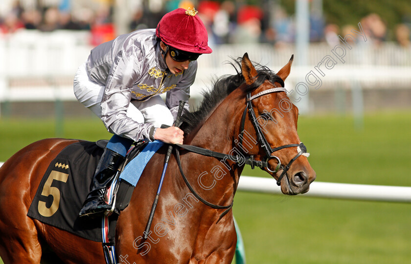 Medyaf-0003 
 MEDYAF (William Buick)
Nottingham 13 Oct 2021 - Pic Steven Cargill / Racingfotos.com