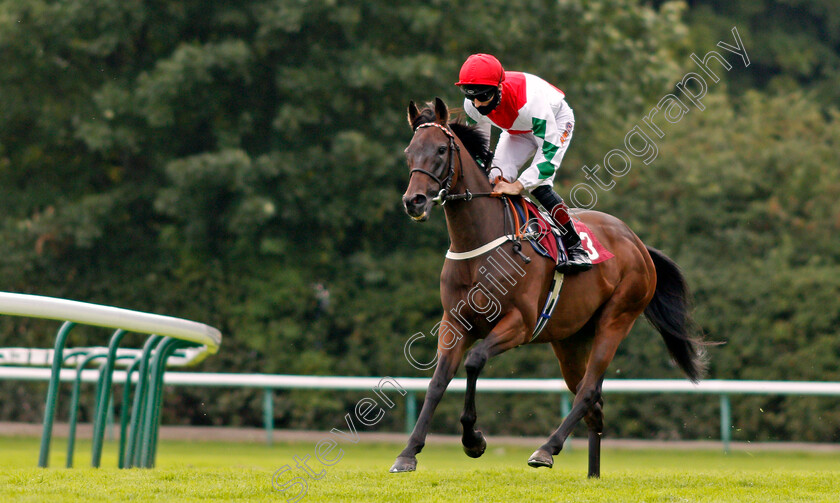 Dazzling-Dan-0001 
 DAZZLING DAN (Dougie Costello)
Haydock 4 Sep 2020 - Pic Steven Cargill / Racingfotos.com