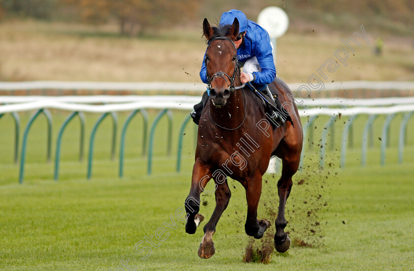 Adayar-0005 
 ADAYAR (William Buick) wins The EBF Stallions Golden Horn Maiden Stakes
Nottingham 28 Oct 2020 - Pic Steven Cargill / Racingfotos.com