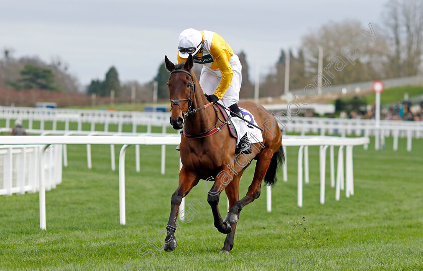 Apple-Away-0001 
 APPLE AWAY (Derek Fox)
Ascot 17 Feb 2024 - Pic Steven Cargill / Racingfotos.com