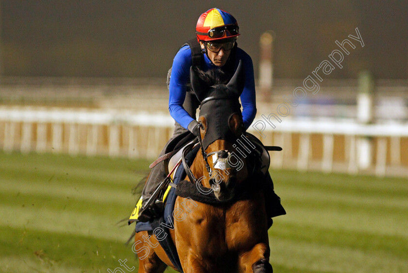 Lord-North-0001 
 LORD NORTH (Frankie Dettori) training for The Dubai Turf
Meydan, Dubai, 24 Mar 2022 - Pic Steven Cargill / Racingfotos.com