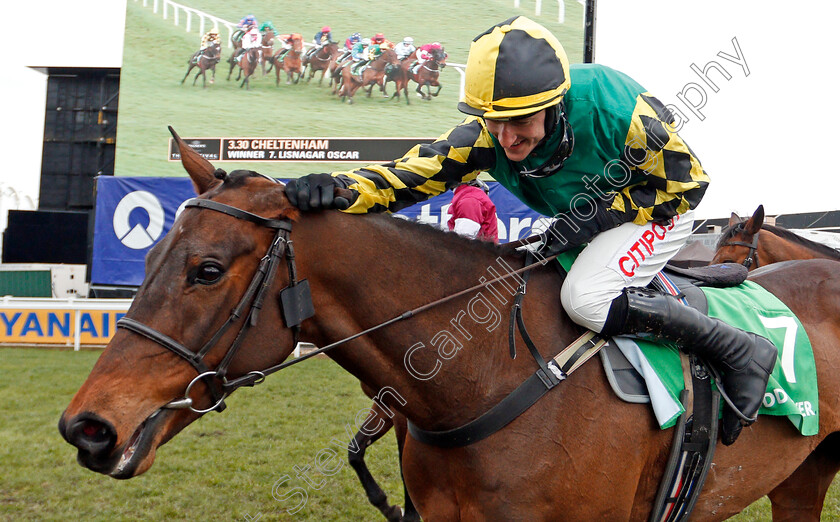 Lisnagar-Oscar-0007 
 LISNAGAR OSCAR (Adam Wedge) after The Paddy Power Stayers Hurdle
Cheltenham 12 Mar 2020 - Pic Steven Cargill / Racingfotos.com