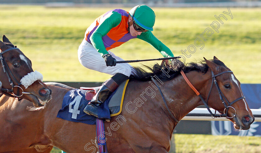 Reeves-0006 
 REEVES (Sean Davis) wins The Bombardier Golden Beer Handicap
Lingfield 10 Jan 2020 - Pic Steven Cargill / Racingfotos.com