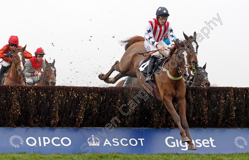 Flaming-Charmer-0002 
 FLAMING CHARMER (Mr J L Thomas) Ascot 20 Jan 2018 - Pic Steven Cargill / Racingfotos.com