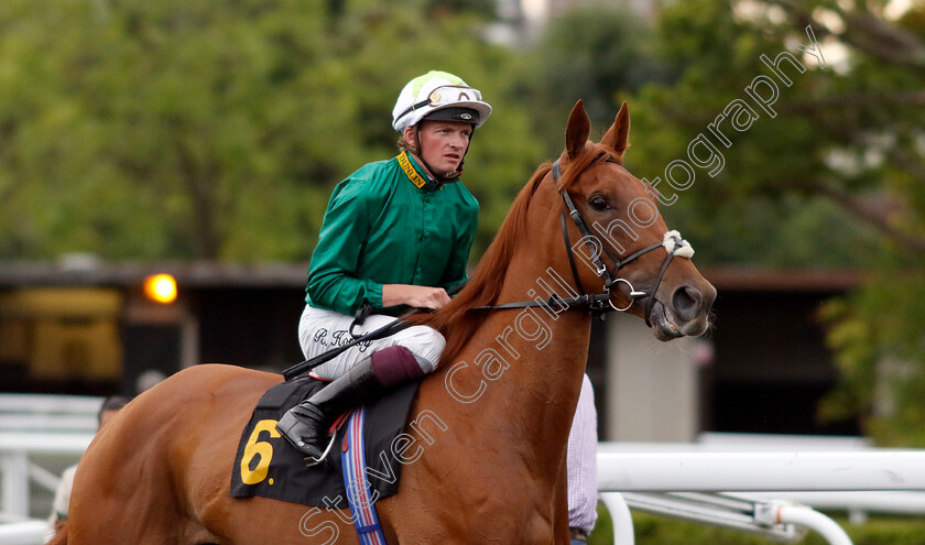 Nowhere-0001 
 NOWHERE (Rob Hornby)
Kempton 7 Aug 2024 - Pic Steven Cargill / Racingfotos.com