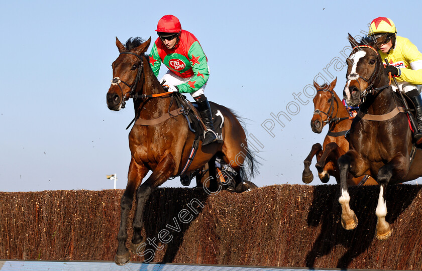 Minella-Awards-0001 
 MINELLA AWARDS (left, Noel Fehily) and IBIS DU RHEU (right)
Cheltenham 17 Nov 2018 - Pic Steven Cargill / Racingfotos.com