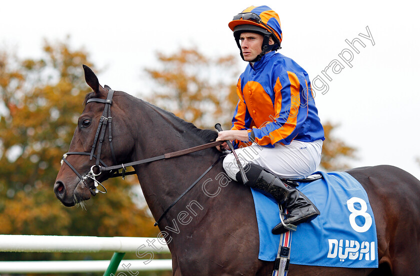 Persia-0001 
 PERSIA (Ryan Moore)
Newmarket 12 Oct 2019 - Pic Steven Cargill / Racingfotos.com