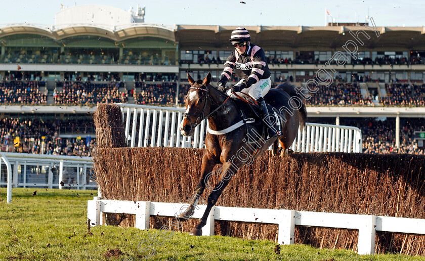 River-Wylde-0001 
 RIVER WYLDE (Nico De Boinville) Cheltenham 19 Nov 2017 - Pic Steven Cargill / Racingfotos.com