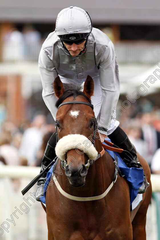 Secret-Venture-0001 
 SECRET VENTURE (Daniel Tudhope)
York 15 Jun 2019 - Pic Steven Cargill / Racingfotos.com