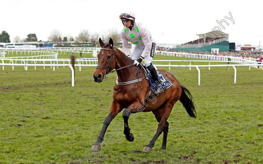 Djakadam-0001 
 DJAKADAM (Patrick Mullins) Cheltenham 16 Mar 2018 - Pic Steven Cargill / Racingfotos.com