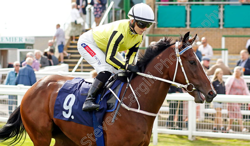 Save-The-World-0002 
 SAVE THE WORLD (Hollie Doyle)
Yarmouth 13 Sep 2022 - Pic Steven Cargill / Racingfotos.com