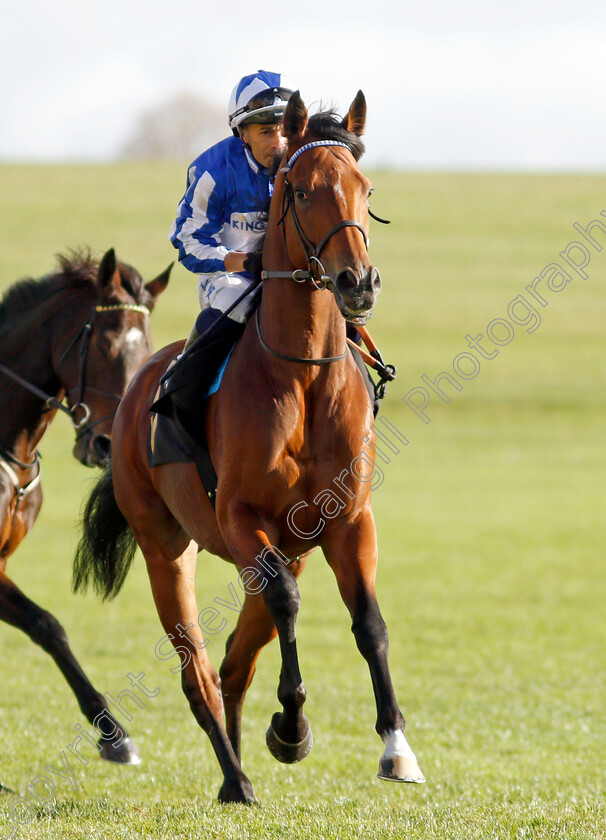 Greatgadian-0001 
 GREATGADIAN (Silvestre De Sousa)
Newmarket 30 Oct 2021 - Pic Steven Cargill / Racingfotos.com