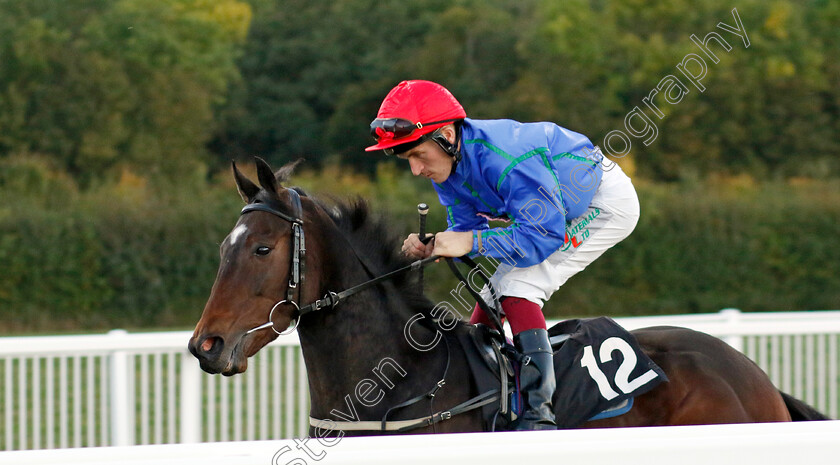 Doctor-Awtaad-0001 
 DOCTOR AWTAAD (Finley Marsh)
Chelmsford 3 Oct 2024 - Pic Steven Cargill / Racingfotos.com