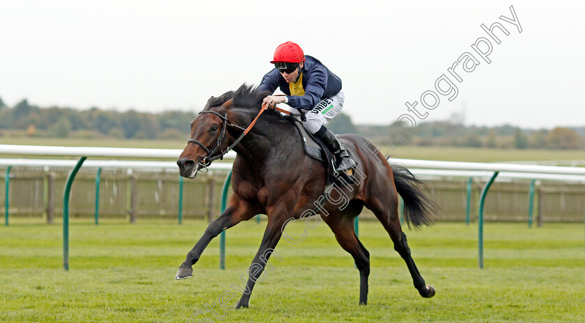 Brentford-Hope-0004 
 BRENTFORD HOPE (Jamie Spencer) wins The Coates & Seely Brut Reserve Maiden Stakes
Newmarket 23 Oct 2019 - Pic Steven Cargill / Racingfotos.com