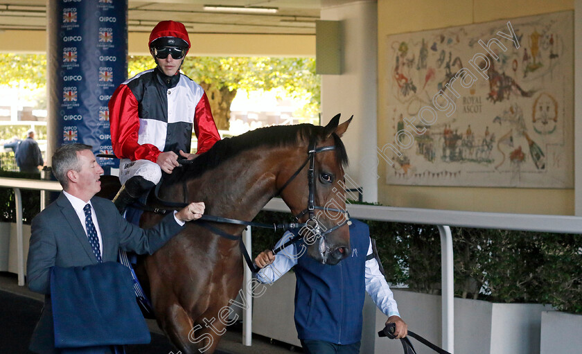 Poker-Face-0001 
 POKER FACE (James Doyle)
Ascot 19 Oct 2024 - Pic Steven Cargill / Racingfotos.com