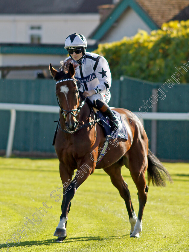 Angel-De-Luz-0001 
 ANGEL DE LUZ (Saffie Osborne)
Yarmouth 18 Oct 2022 - Pic Steven Cargill / Racingfotos.com