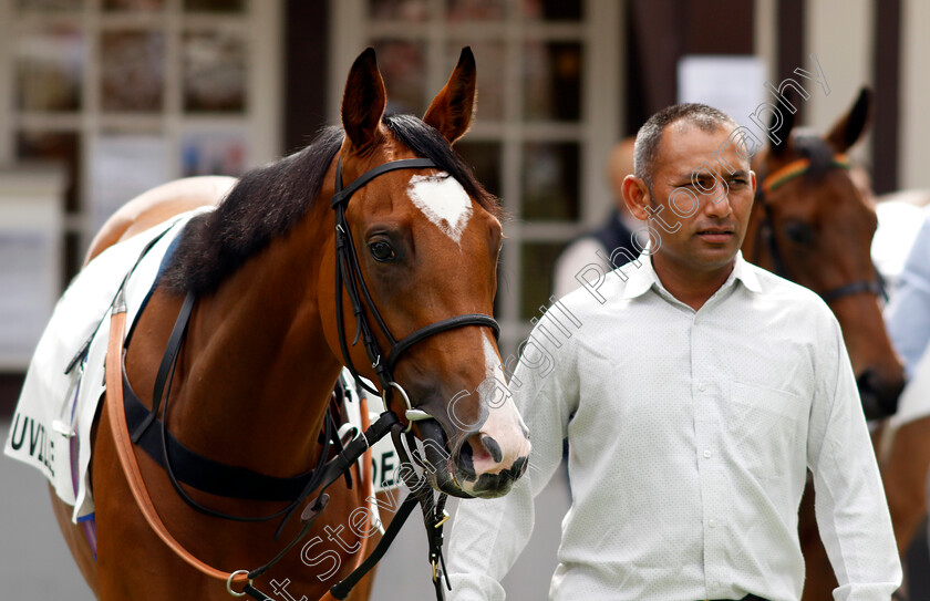 Mollie-Foster-0002 
 MOLLIE FOSTER
Deauville 3 Aug 2024 - Pic Steven Cargill / Racingfotos.com