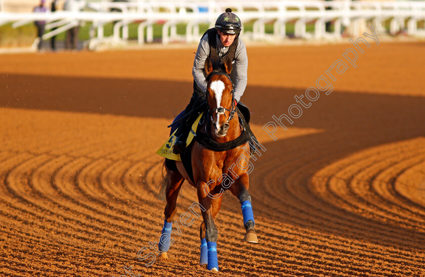 Harrovian-0001 
 HARROVIAN training for The Neom Turf Cup
King Abdulaziz Racetrack, Riyadh, Saudi Arabia 23 Feb 2022 - Pic Steven Cargill / Racingfotos.com