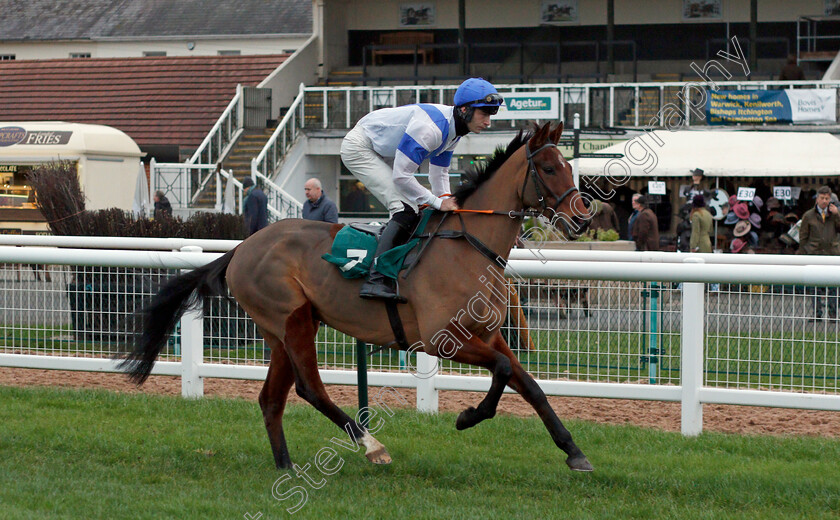 Hauraki-Gulf-0002 
 HAURAKI GULF (Gearoid Harney) winner of The Davis Site Security Open National Hunt Flat Race
Warwick 9 Dec 2021 - Pic Steven Cargill / Racingfotos.com