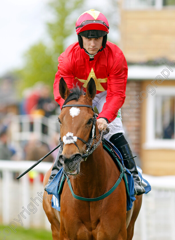 Highfield-Princess-0001 
 HIGHFIELD PRINCESS (Jason Hart) winner of The 1895 Duke Of York Clipper Logisitics Stakes
York 11 May 2022 - Pic Steven Cargill / Racingfotos.com