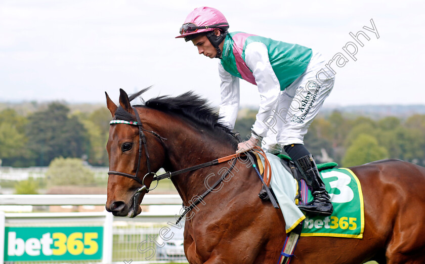 Macduff-0003 
 MACDUFF (Rossa Ryan)
Sandown 26 Apr 2024 - Pic Steven Cargill / Racingfotos.com