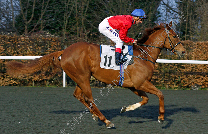 West-Wing-0001 
 WEST WING (Andrea Atzeni) Kempton 21 Mar 2018 - Pic Steven Cargill / Racingfotos.com