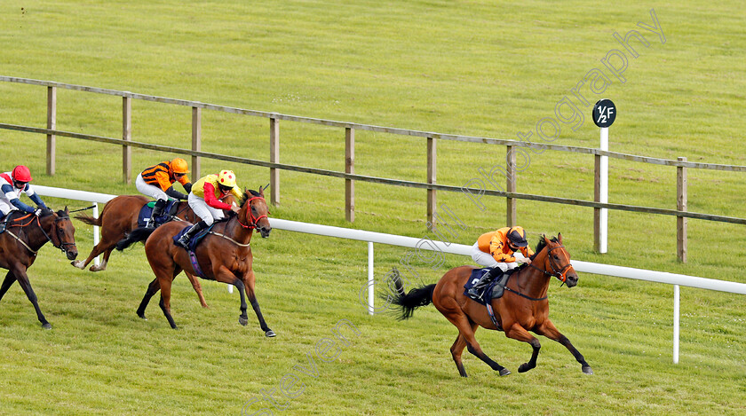 Bold-Decision-0002 
 BOLD DECISION (Hector Crouch) wins The visitbath.co.uk Classified Stakes
Bath 18 Jul 2020 - Pic Steven Cargill / Racingfotos.com