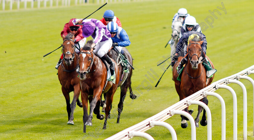 Japan-0004 
 JAPAN (left, Ryan Moore) beats CRYSTAL OCEAN (right) in The Juddmonte International Stakes
York 21 Aug 2019 - Pic Steven Cargill / Racingfotos.com