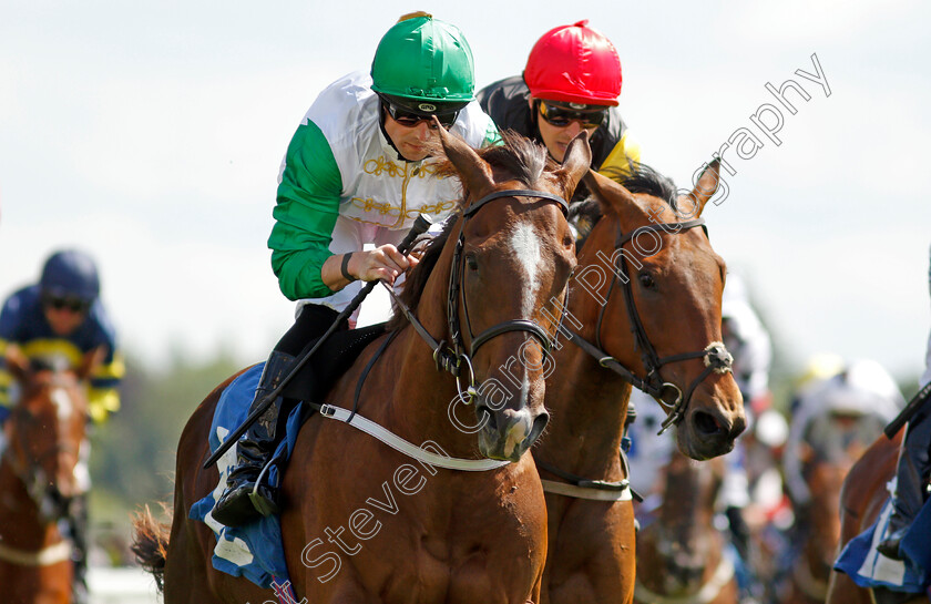 Tareekh-0008 
 TAREEKH (centre, Jack Mitchell) wins The SKF Rous Selling Stakes
York 11 Jun 2021 - Pic Steven Cargill / Racingfotos.com