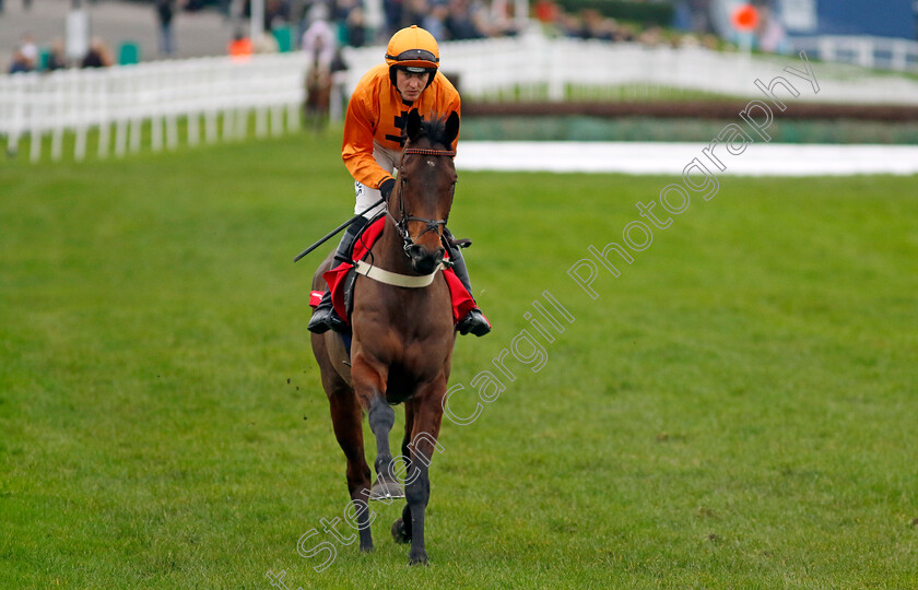 Saint-Segal-0001 
 SAINT SEGAL (David Noonan)
Sandown 3 Feb 2024 - Pic Steven Cargill / Racingfotos.com