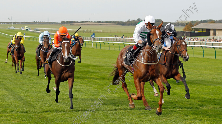 Madame-Ambassador-0002 
 MADAME AMBASSADOR (Franny Norton) wins The British EBF Premier Fillies Handicap
Newmarket 7 Oct 2023 - Pic Steven Cargill / Racingfotos.com