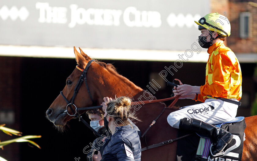 Sleeping-Lion-0001 
 SLEEPING LION (Kieran Shoemark) winner of The Unibet 15 To Go Queen's Prize Handicap
Kempton 5 Apr 2021 - Pic Steven Cargill / Racingfotos.com