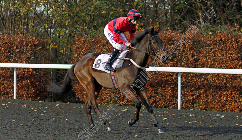 Dragon s-Fire-0001 
 DRAGON'S FIRE (Luke Morris)
Kempton 25 Nov 2020 - Pic Steven Cargill / Racingfotos.com