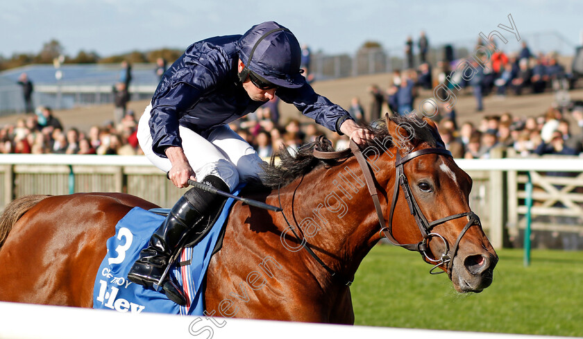 City-Of-Troy-0003 
 CITY OF TROY (Ryan Moore) wins The Dewhurst Stakes
Newmarket 14 Oct 2023 - Pic Steven Cargill / Racingfotos.com