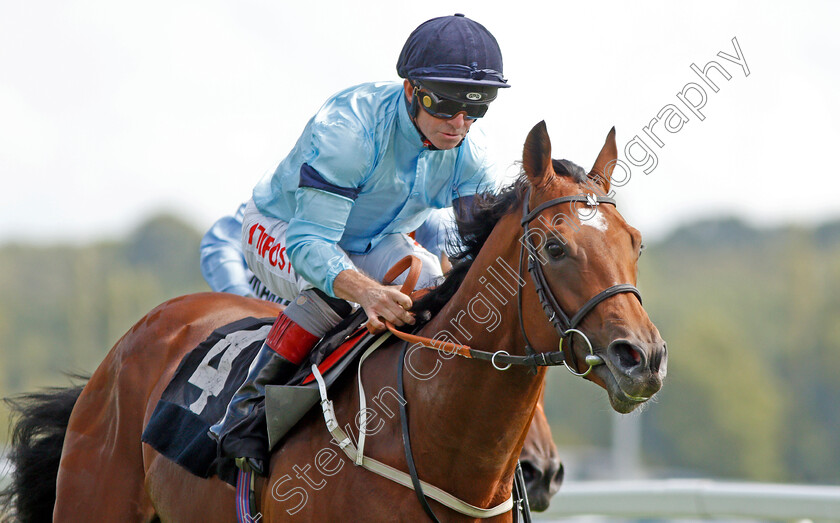 Thunderous-0005 
 THUNDEROUS (Franny Norton) wins The Denford Stakes 
Newbury 17 Aug 2019 - Pic Steven Cargill / Racingfotos.com