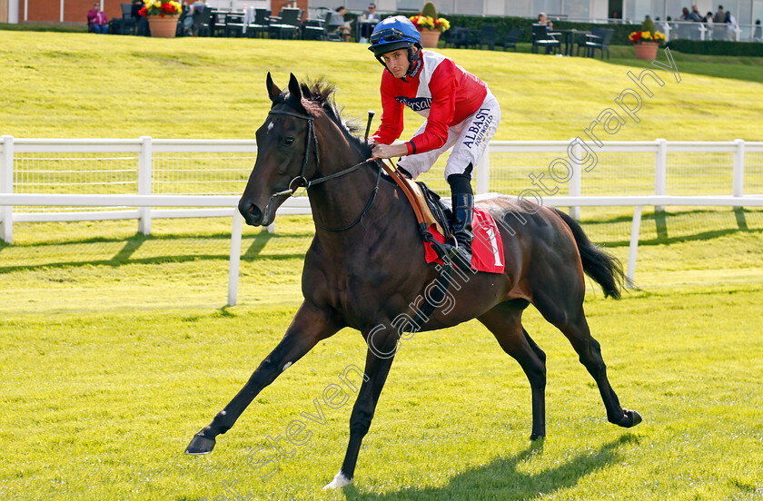 Beachwalk-0001 
 BEACHWALK (Ryan Moore) Sandown 1 Sep 2017 - Pic Steven Cargill / Racingfotos.com