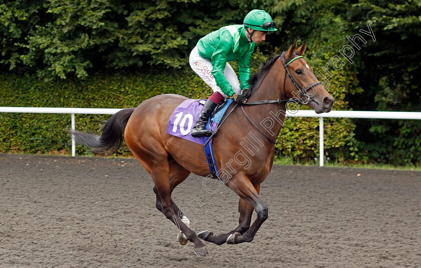 Running-Spirit-0001 
 RUNNING SPIRIT (Oisin Murphy)
Kempton 7 Aug 2024 - Pic Steven Cargill / Racingfotos.com