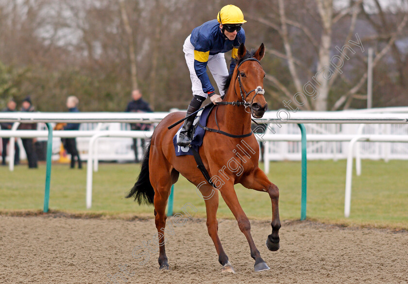 Line-Of-Beauty-0001 
 LINE OF BEAUTY (Robert Havlin) Lingfield 30 Dec 2017 - Pic Steven Cargill / Racingfotos.com