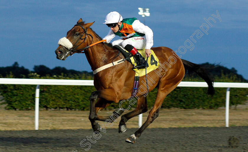 Vis-A-Vis-0002 
 VIS A VIS (Shane Kelly) wins The 32Red.com Handicap
Kempton 8 Aug 2018 - Pic Steven Cargill / Racingfotos.com