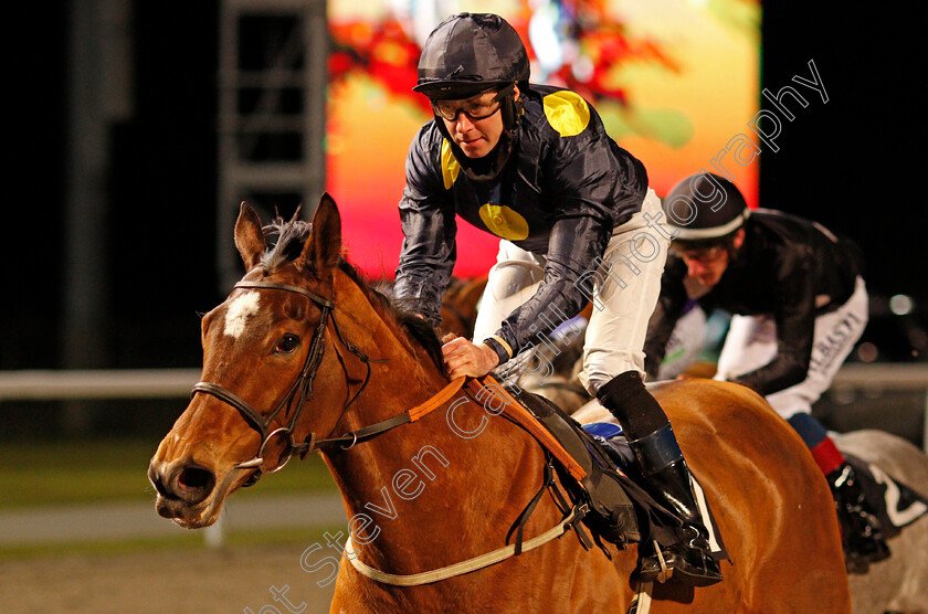 Shimmering-Dawn-0008 
 SHIMMERING DAWN (Tom Eaves) wins The chelmsfordcityracecourse.com Fillies Conditions Stakes
Chelmsford 18 Feb 2021 - Pic Steven Cargill / Racingfotos.com