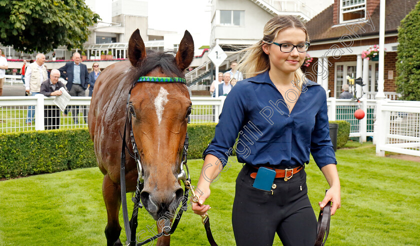 Celestial-Orbit-0014 
 CELESTIAL ORBIT after The European Bloodstock News EBF Star Stakes
Sandown 25 Jul 2024 - Pic Steven Cargill / Racingfotos.com