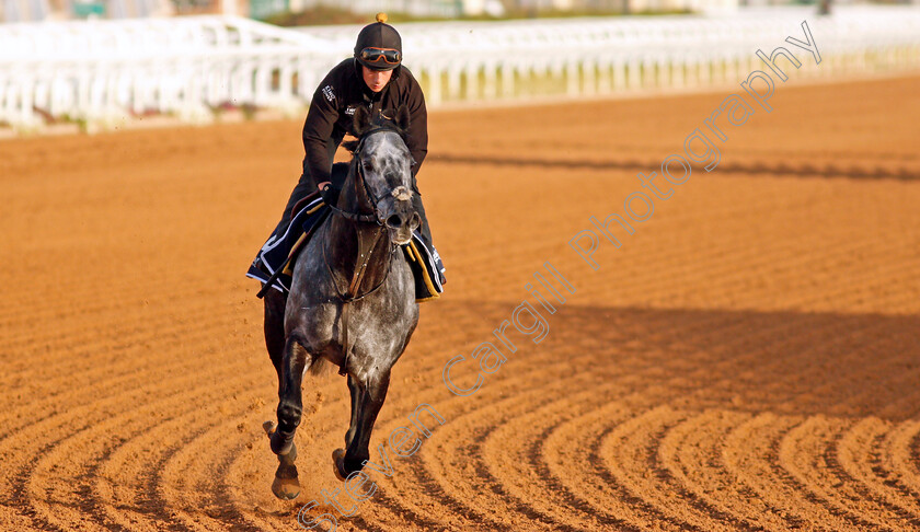 Happy-Power-0003 
 HAPPY POWER training for The Turf Sprint
King Abdulaziz Racetrack, Riyadh, Saudi Arabia 23 Feb 2022 - Pic Steven Cargill / Racingfotos.com