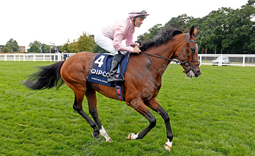 Hunting-Horn-0001 
 HUNTING HORN (Seamie Heffernan)
Ascot 27 Jul 2019 - Pic Steven Cargill / Racingfotos.com