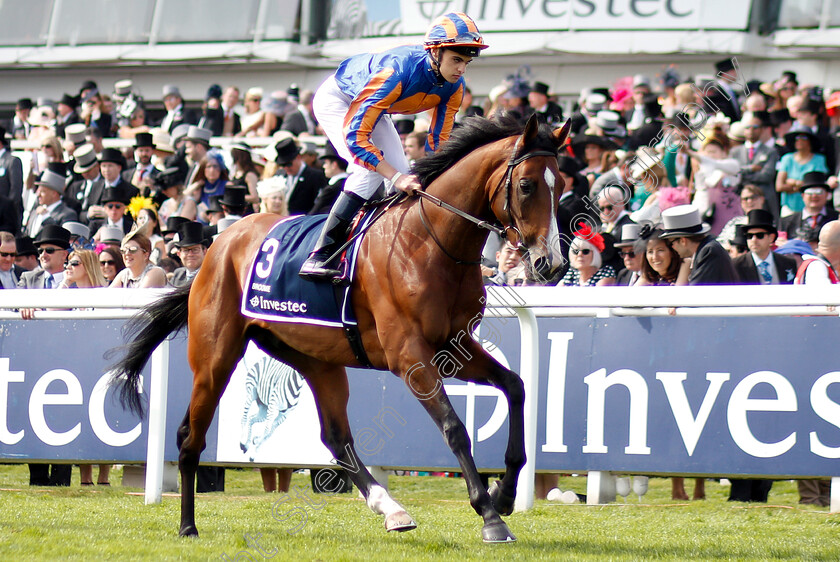 Broome-0001 
 BROOME (Donnacha O'Brien)
Epsom 1 Jun 2019 - Pic Steven Cargill / Racingfotos.com