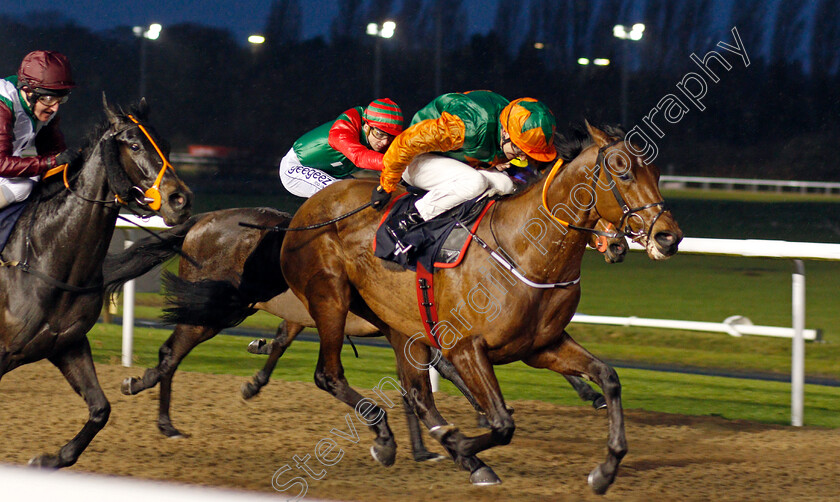 Pink-Jazz-0002 
 PINK JAZZ (Joe Fanning) wins The Ladbrokes Football Acca Boosty Handicap
Wolverhampton 13 Jan 2020 - Pic Steven Cargill / Racingfotos.com