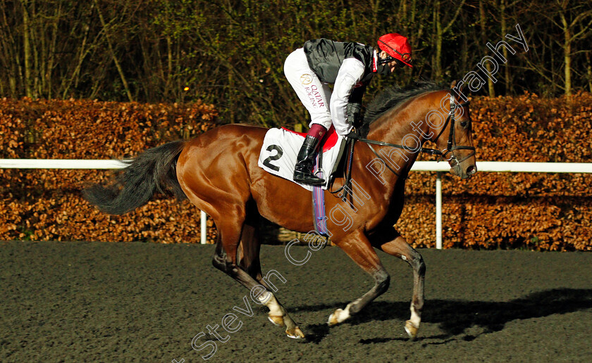 Alto-Volante-0001 
 ALTO VOLANTE (Cieren Fallon)
Kempton 3 Mar 2021 - Pic Steven Cargill / Racingfotos.com