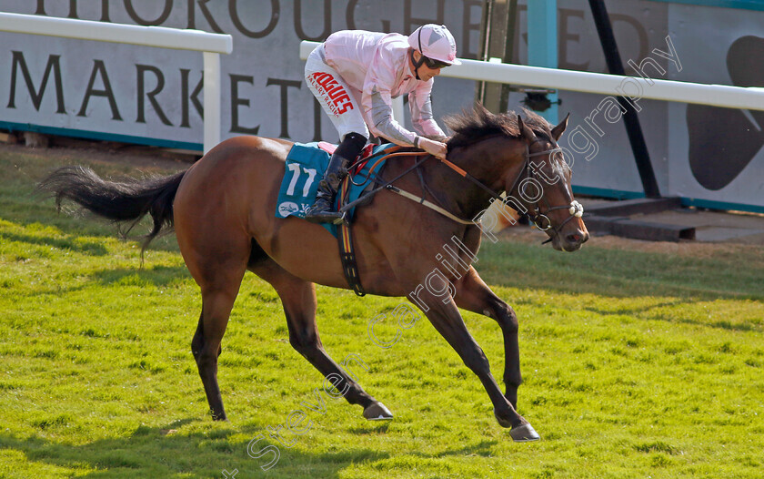 Another-Investment-0012 
 ANOTHER INVESTMENT (Jack Mitchell) wins The Irish Thoroughbred Marketing Handicap
York 16 Jun 2023 - Pic Steven Cargill / Racingfotos.com