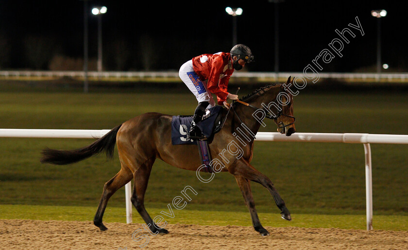 Passthecourvoisier-0001 
 PASSTHECOURVOISIER (Harrison Shaw)
Wolverhampton 11 Jan 2021 - Pic Steven Cargill / Racingfotos.com