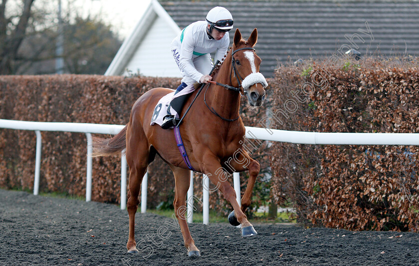 Ocala-0001 
 OCALA (Oisin Murphy)
Kempton 3 Apr 2019 - Pic Steven Cargill / Racingfotos.com